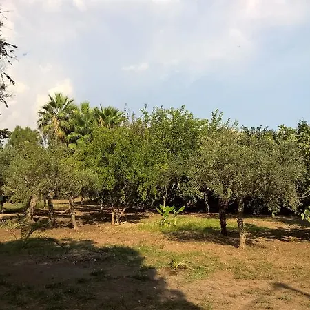 Casa Summertime Guest house