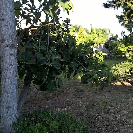 Casa Summertime Pensionat *