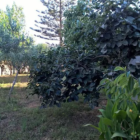 Pensionat Casa Summertime