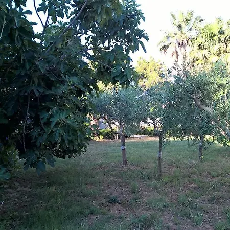 Pensionat Casa Summertime *