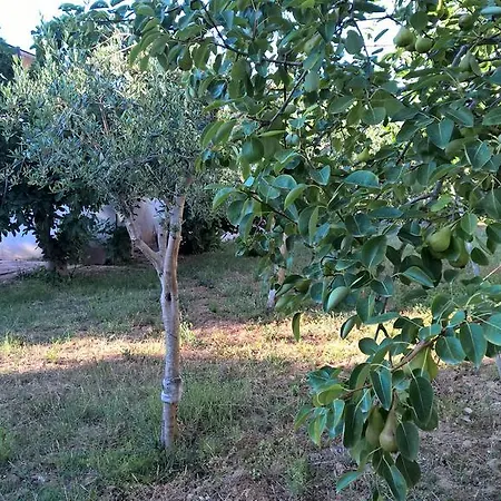 Casa Summertime *