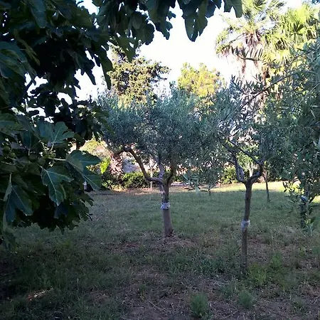 Casa Summertime Pensionat *