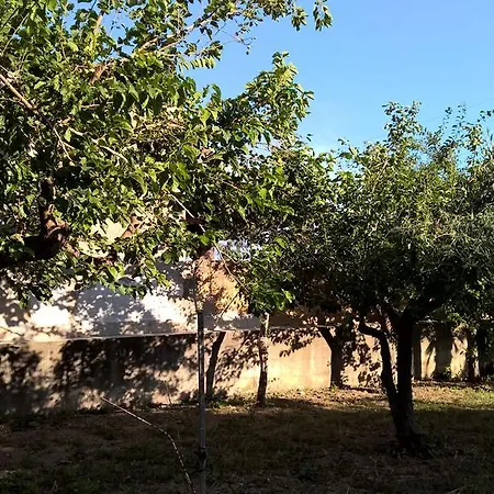 Pensionat Casa Summertime