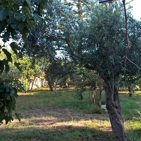Casa Summertime *