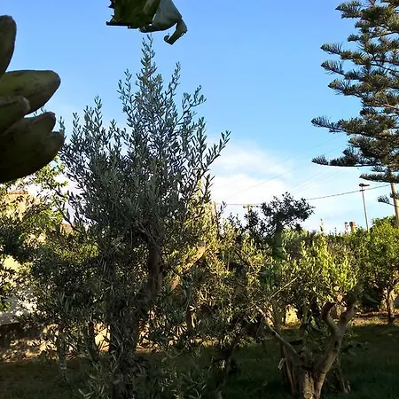 Pensionat Casa Summertime