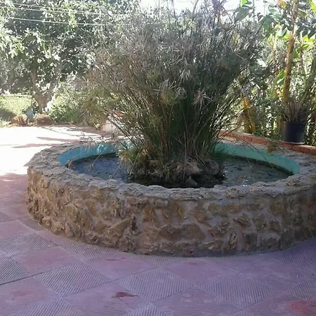 Casa Summertime Pensionat *